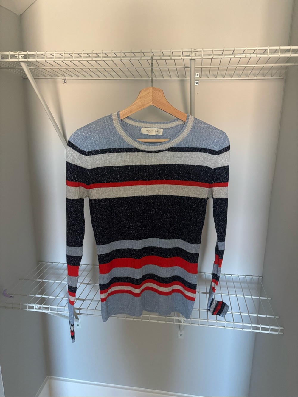 Treasure & Bond Striped Crewneck Sweater in Light Blue, Navy & Red